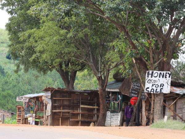 WHO uses AI to provide health risk information for DRC