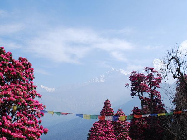 Nokia Lights Up Nepal With WorldLink FTTH Deal