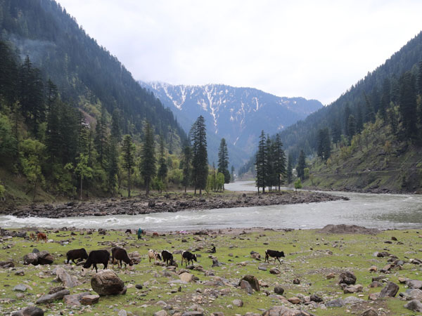 Pakistan’s state operators sign cooperation deal