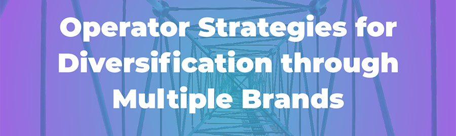 Multi brand strategies report 2024