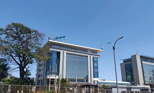 Safaricom-Vodacom deal suspended by Kenyan High Court panel
