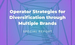 Multi brand strategies report 2024