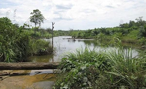 India-Indonesia partnership aims to connect the unconnected